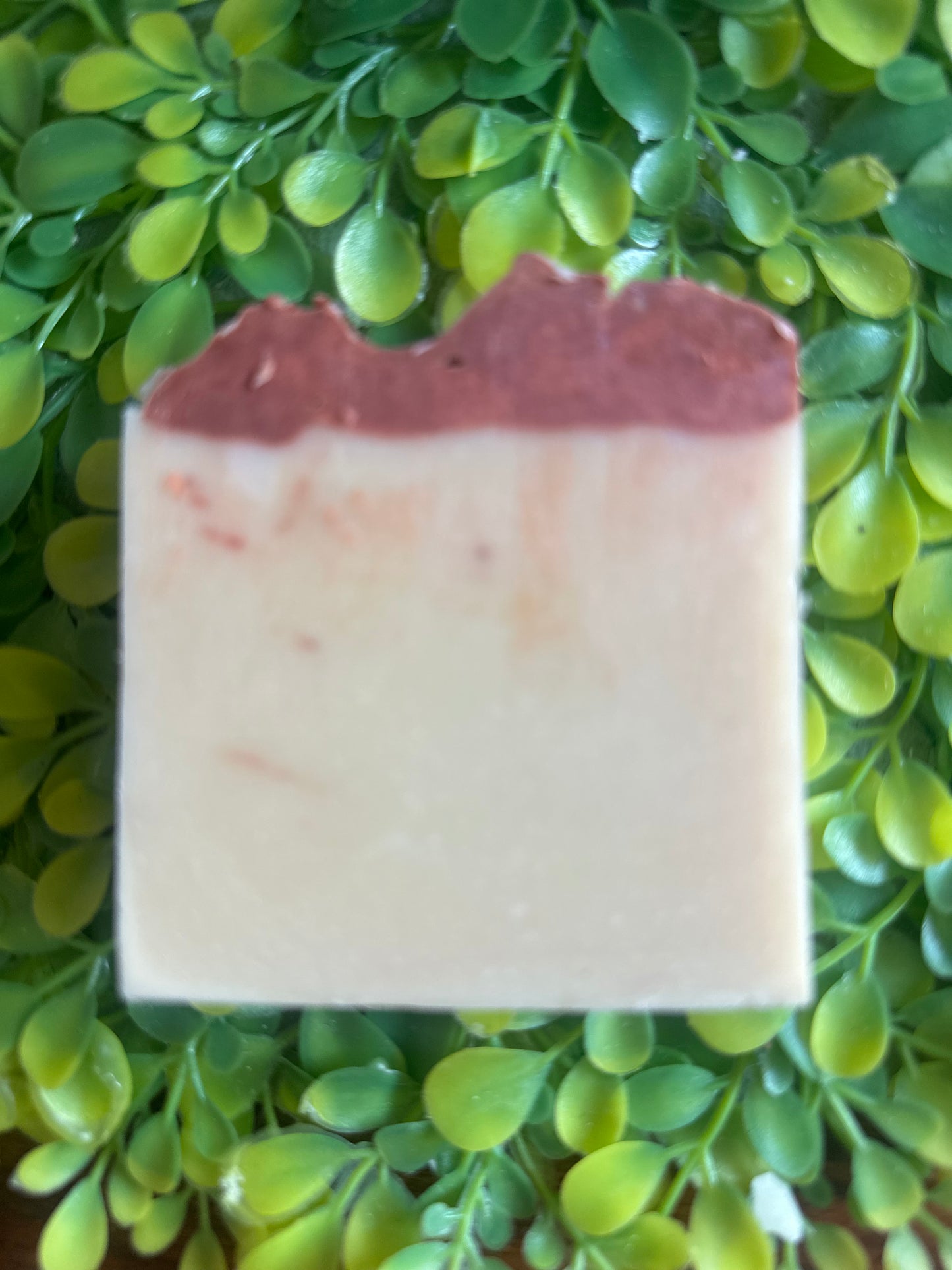Homemade Tallow Soap Spiced Apple Rum scented